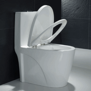 OVS~0382Y Toilet OVS-0382Y